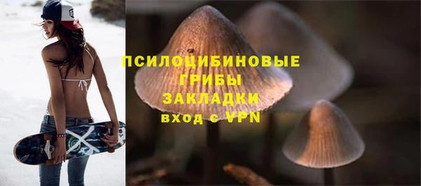гидропоника Балахна