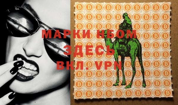 ECSTASY Баксан