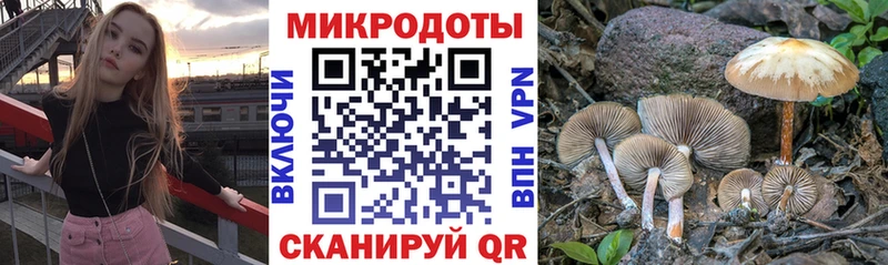 Псилоцибиновые грибы ЛСД  наркота  kraken сайт  Каневская 